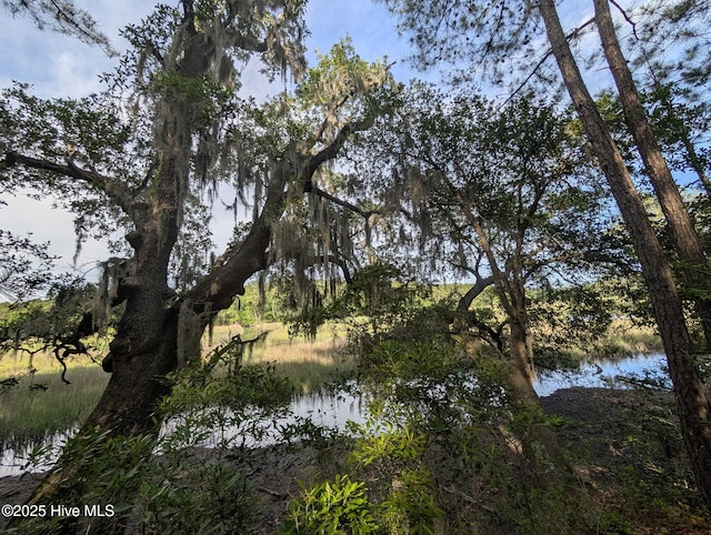 410 Sugar Cv, Wilmington, NC 28411 - water view