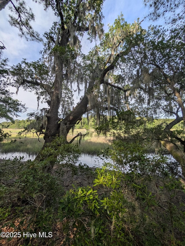 410 Sugar Cv, Wilmington, NC 28411 - water view