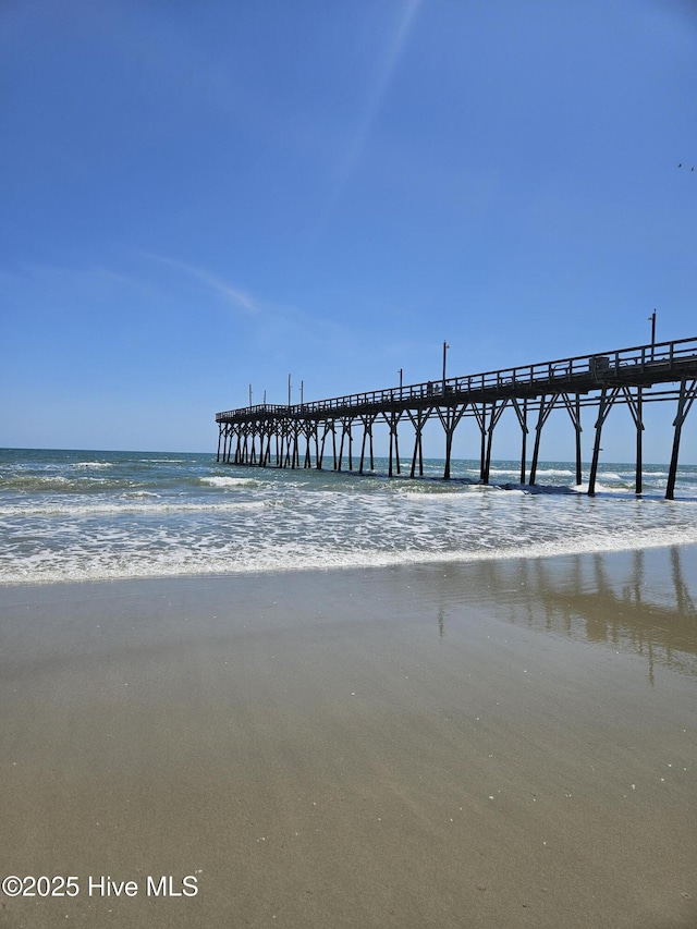 dock area featuring a water view and a pier