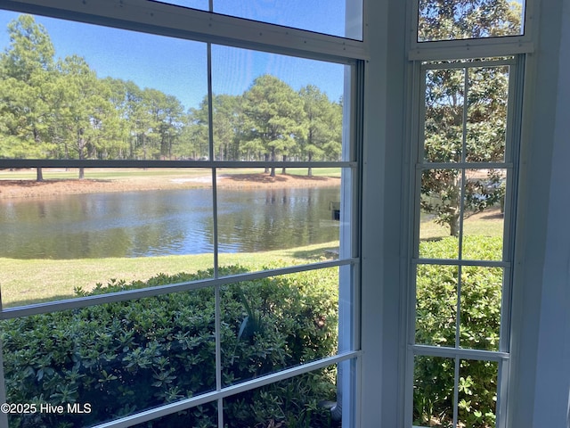 property view of water