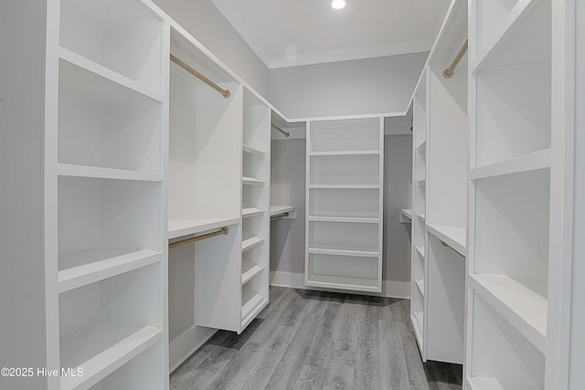 spacious closet with wood finished floors