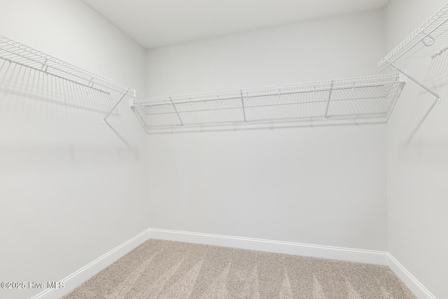 3700 Cessna Way W, Wilson, NC 27896 - spacious closet featuring light colored carpet
