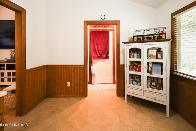 interior space featuring wainscoting, plenty of natural light, wood walls, and lofted ceiling