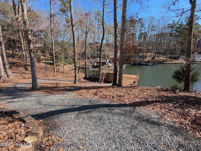 view of yard featuring a water view and a boat dock