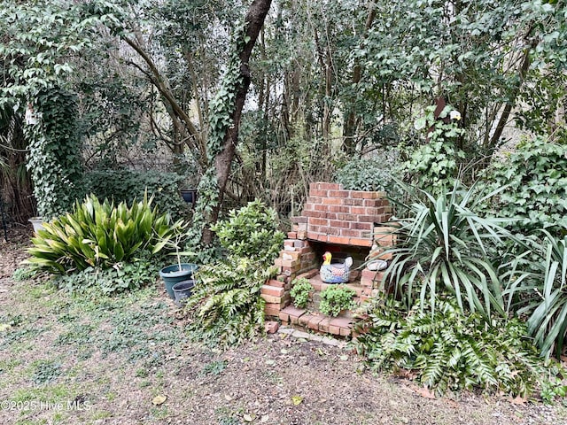 204 N Granville St, Edenton, NC 27932 - view of yard