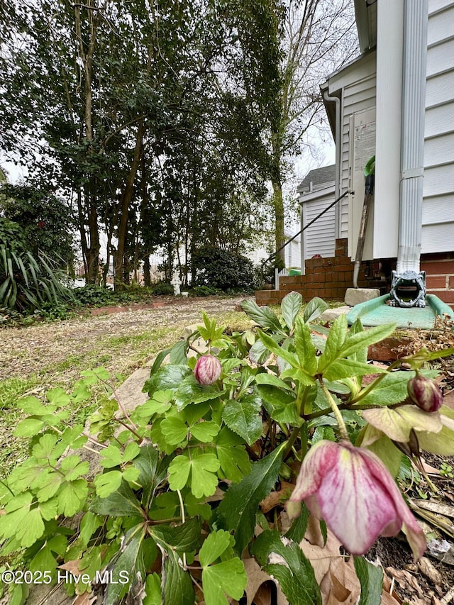 204 N Granville St, Edenton, NC 27932 - view of yard