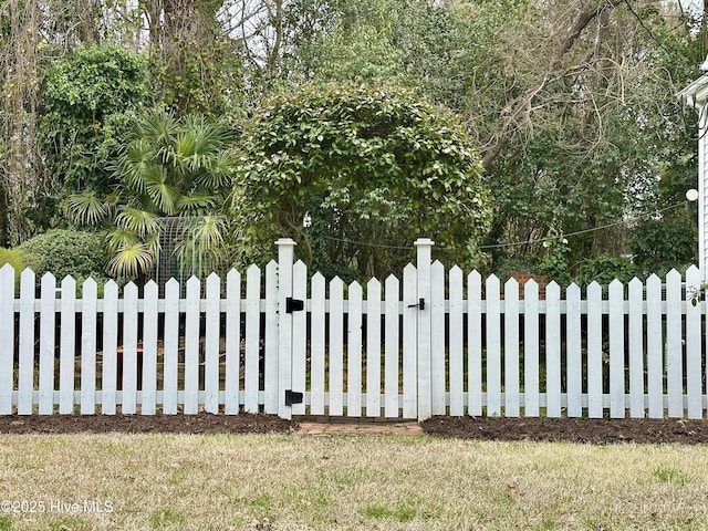 204 N Granville St, Edenton, NC 27932 - view of gate with a fenced front yard