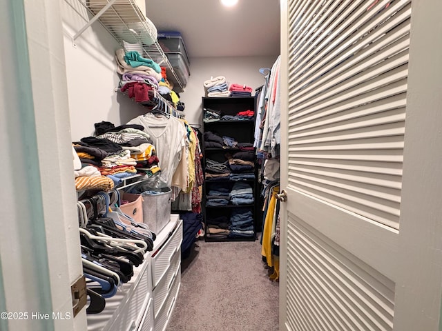 310 Wimbledon Ct, Wilmington, NC 28412 - spacious closet featuring carpet floors