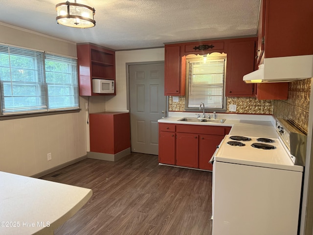 16980 Barnes Dr, Laurinburg, NC 28352 - kitchen with a sink, electric stove, white microwave, under cabinet range hood, and light countertops