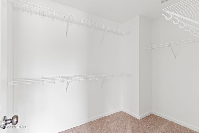 5134 Northstar Dr Unit 28, Leland, NC 28451 - spacious closet with carpet floors