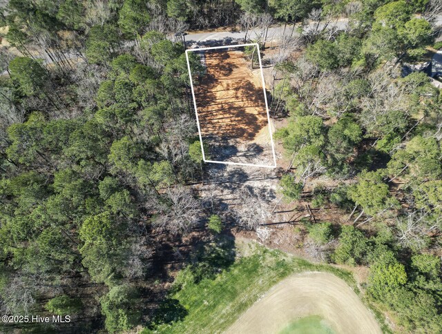 663 Loblolly Dr, Vass, NC 28394 - aerial view of property and surrounding area featuring property boundaries highlighted