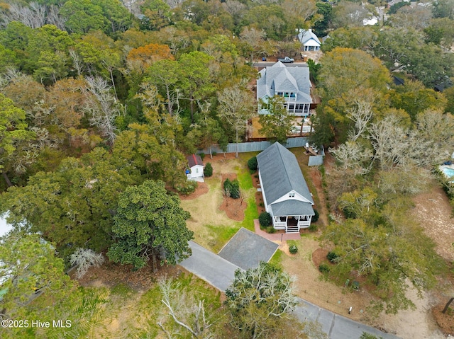 bird's eye view
