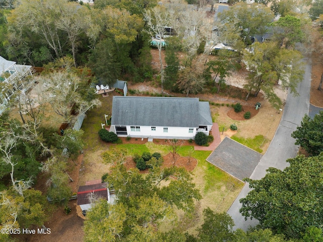 bird's eye view