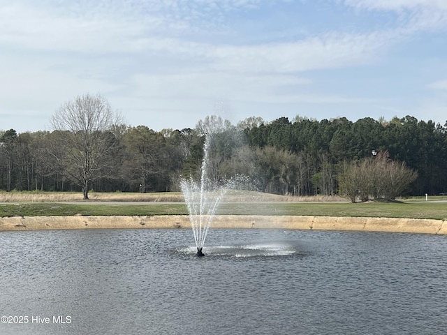 452 Moss Pink Dr, Vass, NC 28394 - view of property's community featuring a water view