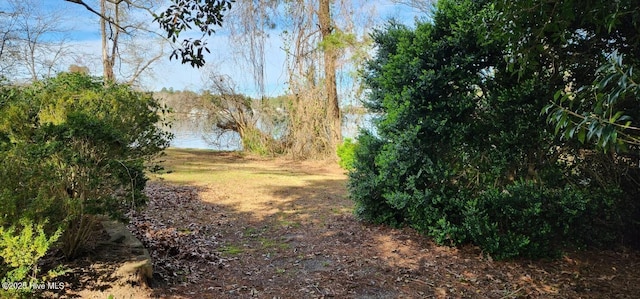 6693 NC-92, Bath, NC 27808 - view of nature