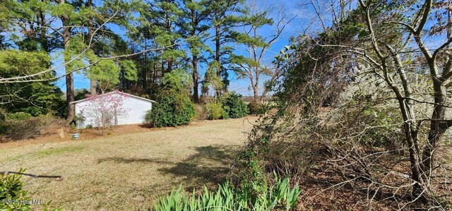 6693 NC-92, Bath, NC 27808 - view of yard with an outbuilding