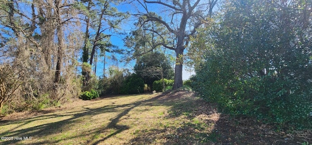 6693 NC-92, Bath, NC 27808 - view of yard