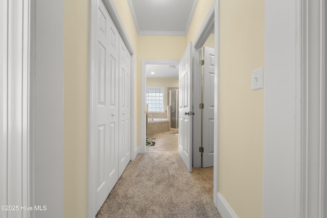 604 Fourth St S, Carolina Beach, NC 28428 - corridor with carpet and crown molding