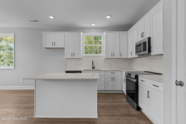 1007 Tawney Trce, New Bern, NC 28562 - kitchen featuring electric range, stainless steel microwave, plenty of natural light, a center island, and recessed lighting
