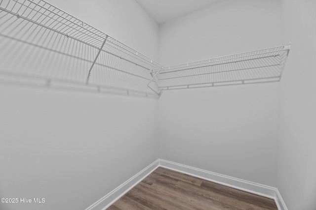 1007 Tawney Trce, New Bern, NC 28562 - walk in closet with dark wood-style floors
