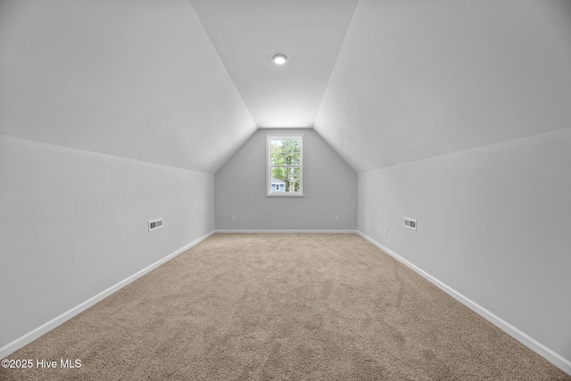 1007 Tawney Trce, New Bern, NC 28562 - bonus room with lofted ceiling, carpet flooring, and baseboards
