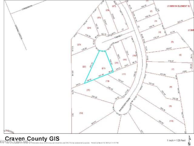 1007 Tawney Trce, New Bern, NC 28562 - map of parcels