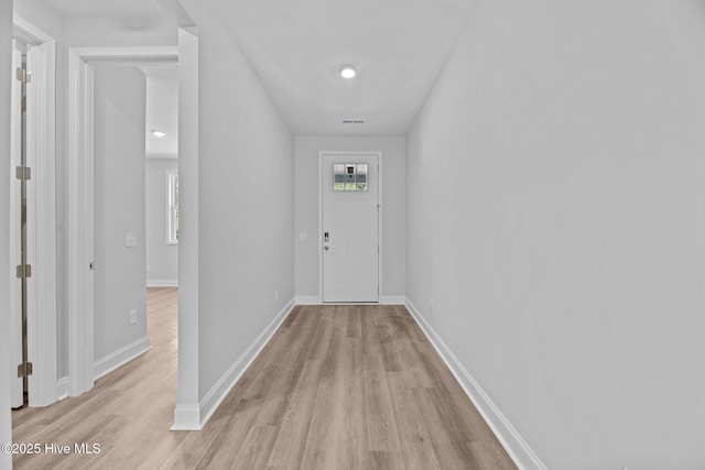 1007 Tawney Trce, New Bern, NC 28562 - hallway with light wood-style flooring and baseboards