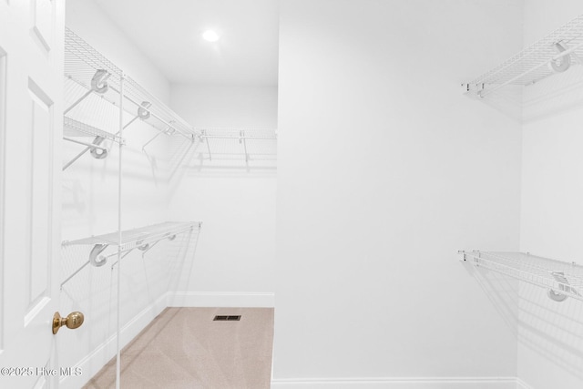 6932 Runningbrook Ter, Wilmington, NC 28411 - spacious closet featuring carpet