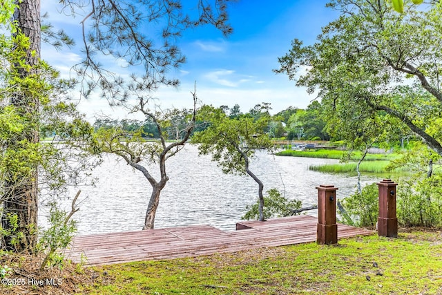 6932 Runningbrook Ter, Wilmington, NC 28411 - water view with a dock