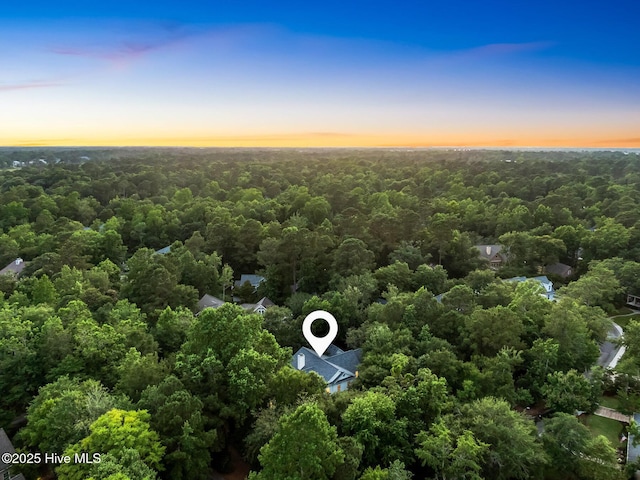 6932 Runningbrook Ter, Wilmington, NC 28411 - bird's eye view of a heavily wooded area