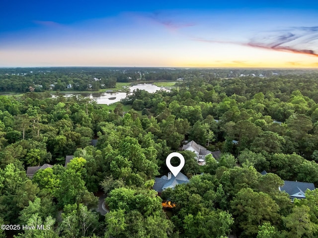 6932 Runningbrook Ter, Wilmington, NC 28411 - aerial view at dusk of a forest view