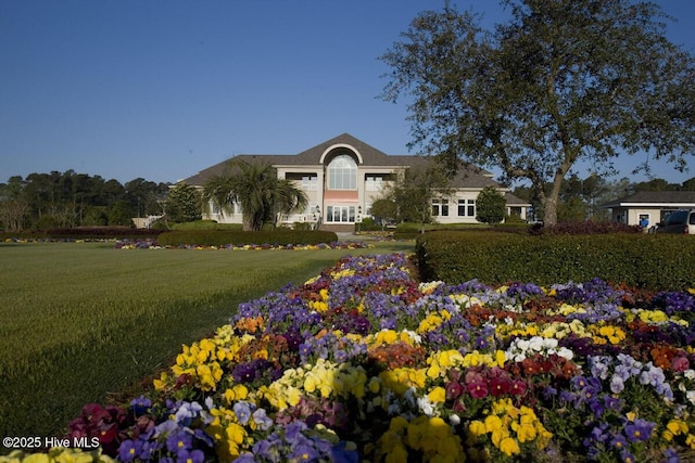 view of front of home featuring a front yard