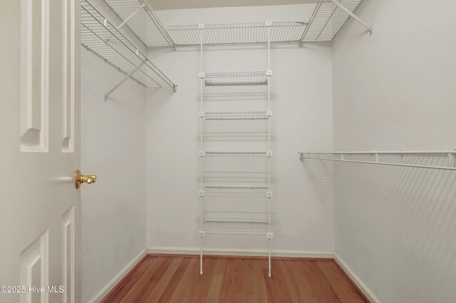146 Olde Point Rd, Hampstead, NC 28443 - walk in closet featuring wood finished floors