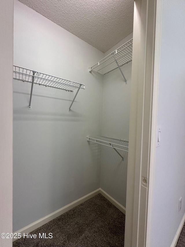 146 Olde Point Rd, Hampstead, NC 28443 - walk in closet featuring dark colored carpet