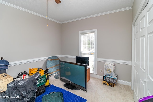 miscellaneous room with a textured ceiling, crown molding, baseboards, and carpet floors