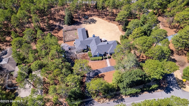 bird's eye view