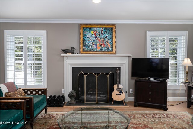 living room featuring wood finished floors, a fireplace with raised hearth, ornamental molding, and a healthy amount of sunlight