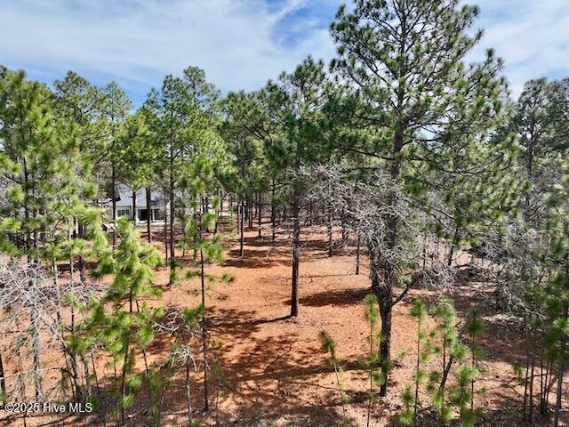103 Chesterfield Dr, Pinehurst, NC 28374 - view of undeveloped land