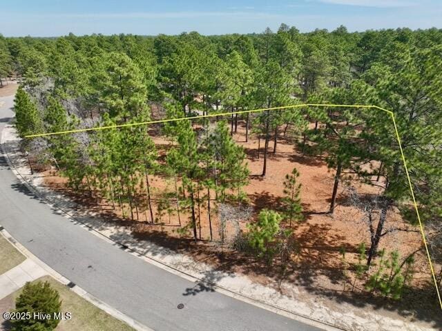 103 Chesterfield Dr, Pinehurst, NC 28374 - view of property's community featuring a view of rural / pastoral area
