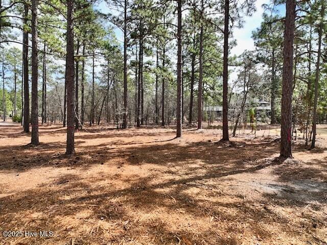 103 Chesterfield Dr, Pinehurst, NC 28374 - view of nature