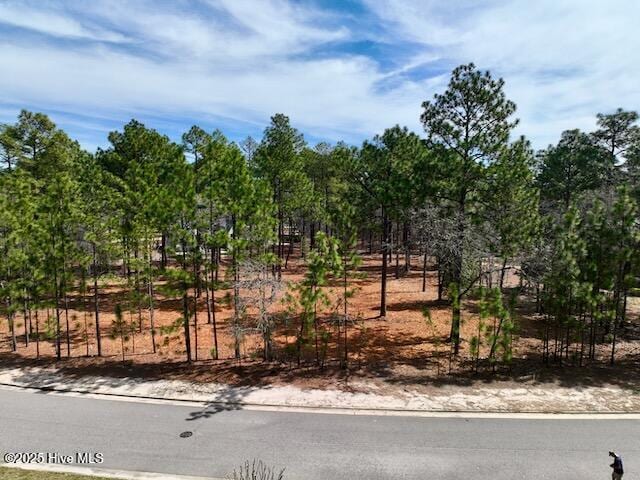 103 Chesterfield Dr, Pinehurst, NC 28374 - view of nature