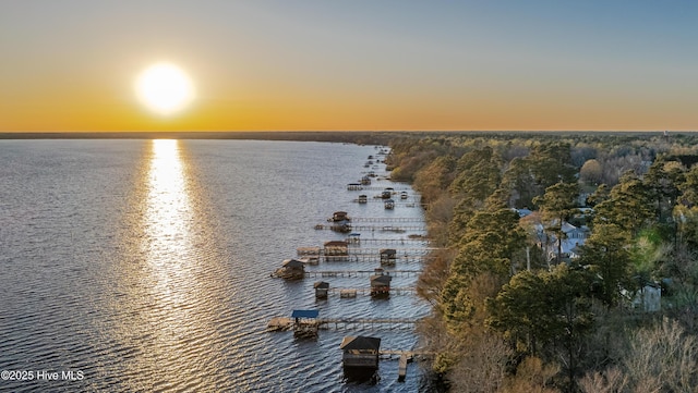 property view of water