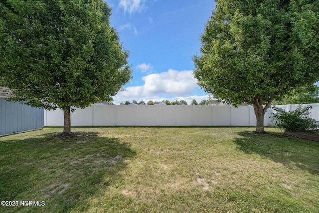 view of yard featuring a fenced backyard