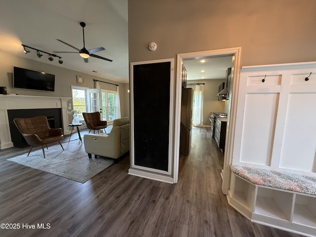 1123 Mill Run Rd, Sneads Ferry, NC 28460 - living room with track lighting, dark wood-type flooring, ceiling fan, and a fireplace