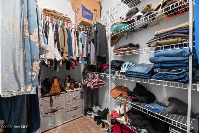 214 Green Trees Dr, New Bern, NC 28560 - spacious closet featuring carpet flooring