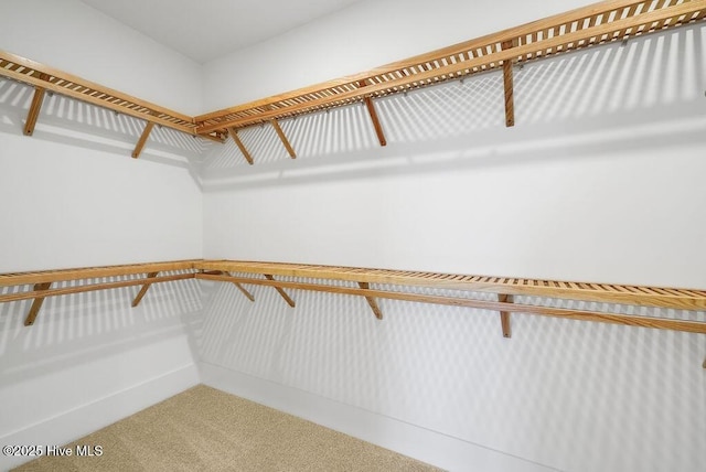 1348 Trisail Ter, Wilmington, NC 28412 - walk in closet featuring carpet