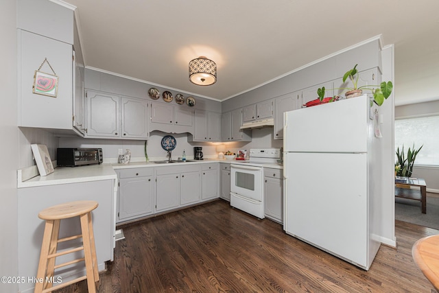 203 Mercer Rd, Jacksonville, NC 28546 - kitchen featuring white appliances, dark wood-style floors, light countertops, ornamental molding, and a sink