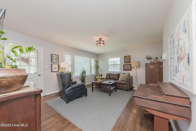 203 Mercer Rd, Jacksonville, NC 28546 - living room featuring wood finished floors and baseboards