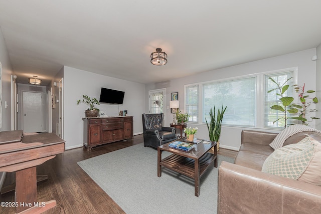 203 Mercer Rd, Jacksonville, NC 28546 - living area featuring dark wood finished floors and baseboards