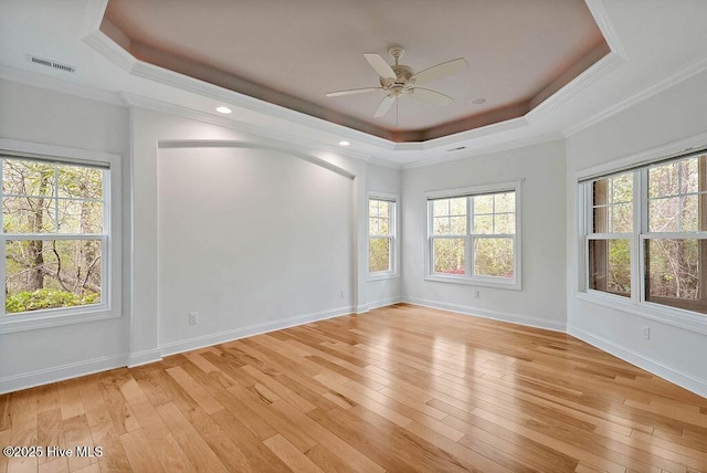 spare room featuring a wealth of natural light, light wood-type flooring, and a raised ceiling